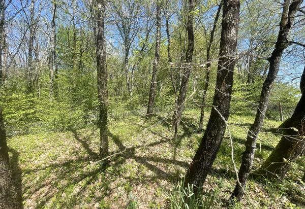 MAISON ET GITE IND. AVEC UN PARC ARBORE DE + DE 4 000 m²