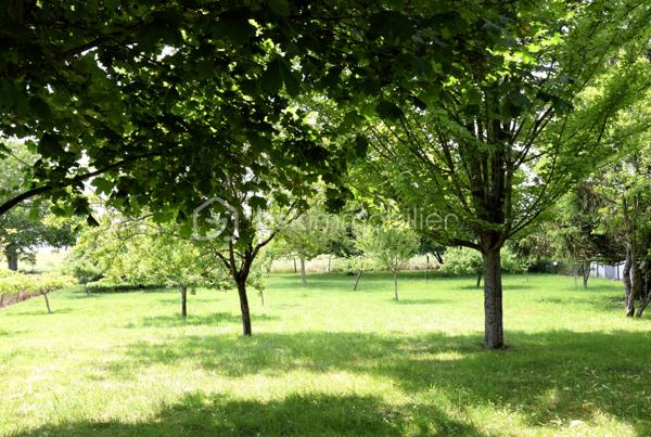 Maison en pierre de 191 m²