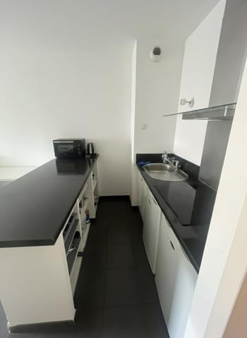 Appartement T1 bis de 28,34 m2 Toulouse Centre ville