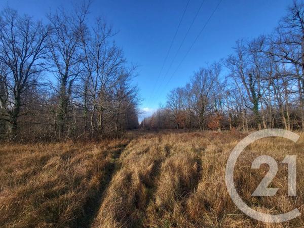Terrain à vendre  325020 m 2   VAUX  - 03