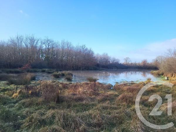 Terrain à vendre  325020 m 2   VAUX  - 03