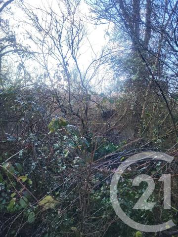 Terrain à vendre  325020 m 2   VAUX  - 03