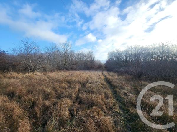 Terrain à vendre  325020 m 2   VAUX  - 03