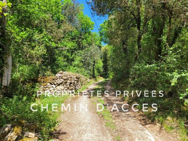 Une propriété volontairement à l'écart, pour ceux qui privilégient le silence, la discrétion et un cadre naturel préservé. 4 chambres. Terrain environ 1 hectare