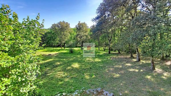 Une propriété volontairement à l'écart, pour ceux qui privilégient le silence, la discrétion et un cadre naturel préservé. 4 chambres. Terrain environ 1 hectare
