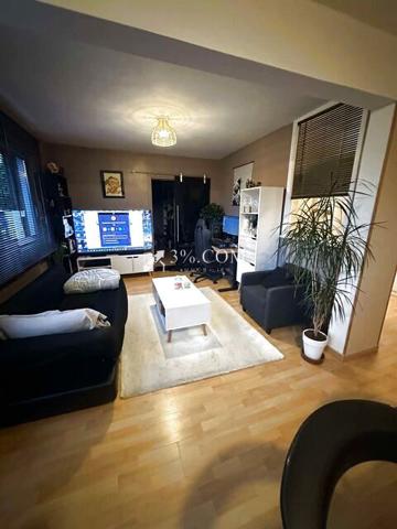 Appartement 3 pièce(s) 1 chambre(s) 50 m²