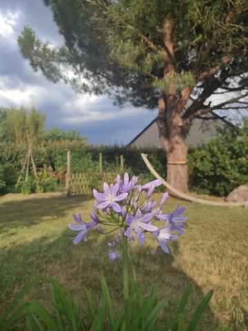 44470 MAUVES SUR LOIRE Maison 44470 Mauves Sur Loire 6 pièce(s) 137 m2 vie de plain pied !!!