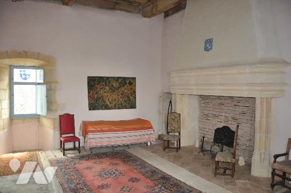 Dans le Comminges à proximité d'AURIGNAC, château inscrit ISMH 645m²sur près de 7hectares. 690.000 €