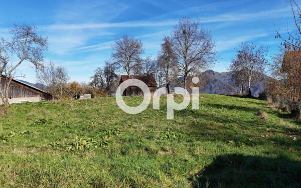 Terrain à vendre    Saint-Jean-de-Tholome
