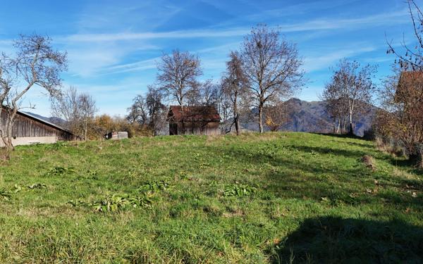 Terrain à vendre    Saint-Jean-de-Tholome