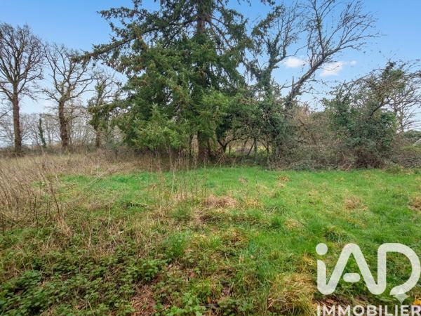 Maison à vendre 2 pièces 53 m² Lussac-les-Églises