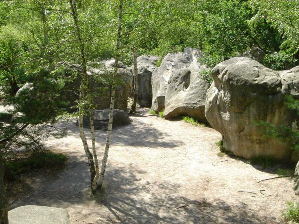 Appartement Fontainebleau Gare