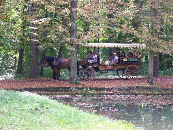 Appartement Fontainebleau Gare