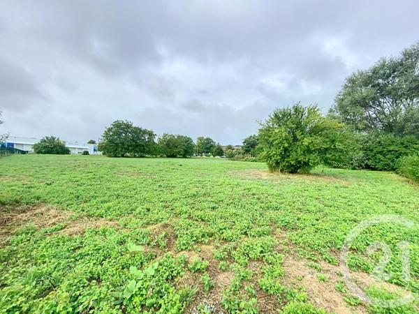 Terrain à vendre  6224 m2 GANNAT - 03