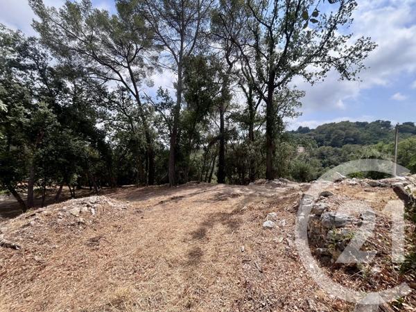 Terrain à vendre  2500 m 2   ROQUEFORT LES PINS  - 06