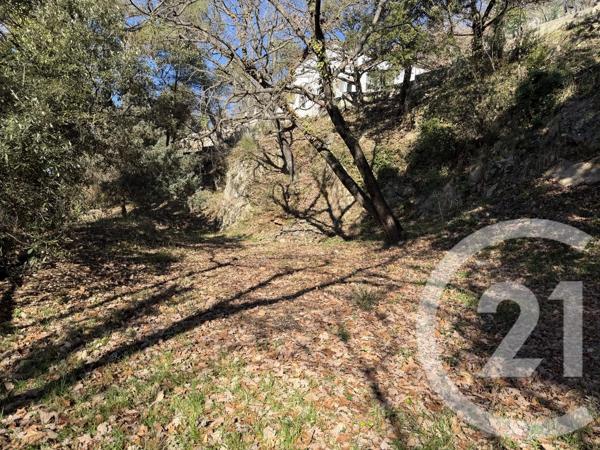 Terrain à vendre  2500 m 2   ROQUEFORT LES PINS  - 06