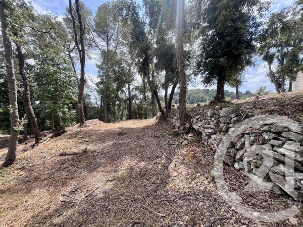 Terrain à vendre  2500 m 2   ROQUEFORT LES PINS  - 06