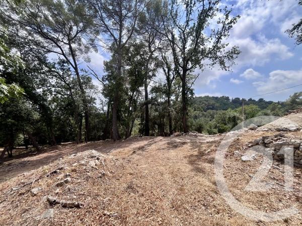 Terrain à vendre  2500 m 2   ROQUEFORT LES PINS  - 06