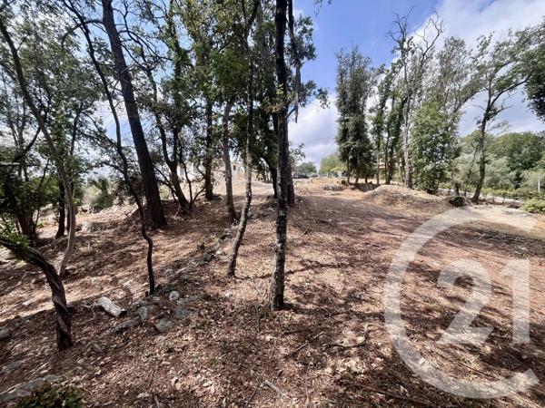 Terrain à vendre  2500 m 2   ROQUEFORT LES PINS  - 06