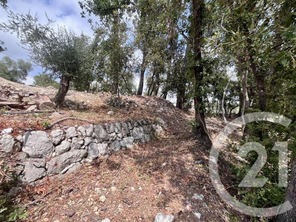 Terrain à vendre  2500 m 2   ROQUEFORT LES PINS  - 06