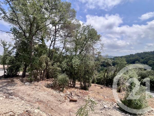 Terrain à vendre  2500 m 2   ROQUEFORT LES PINS  - 06