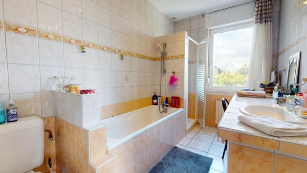 Maison bi-famille/immeuble Riedisheim