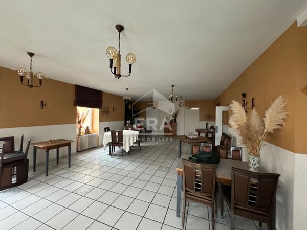 Maison Port Sur Saone 11 pièce(s) 380 m2