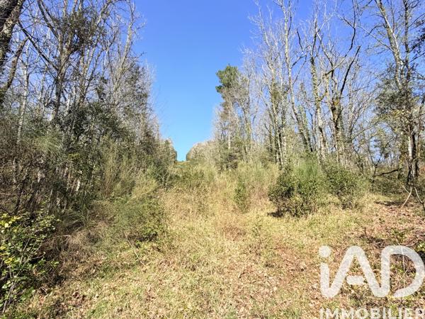 Maison à vendre 5 pièces 124 m² Les Eyzies