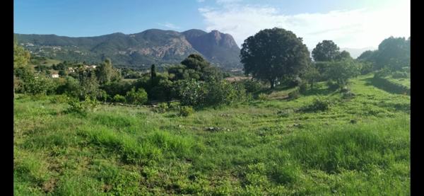 Terrain à ALATA (20167)