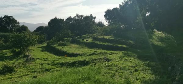 Terrain à ALATA (20167)