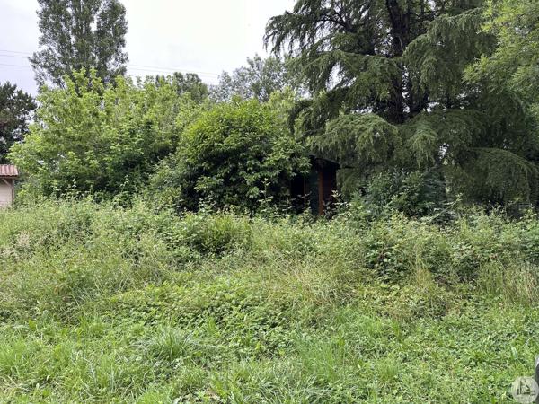 Chalets En Zone De Loisirs