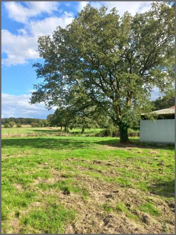 Dépendance en pierre sur environ 3,5 hectares