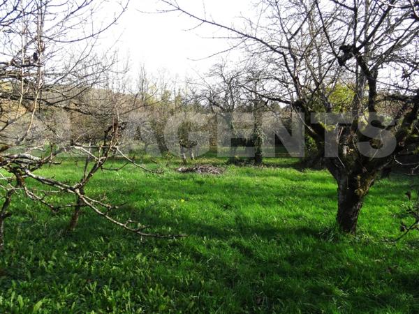 PROCHE AUXERRE MAISON A FORT POTENTIEL