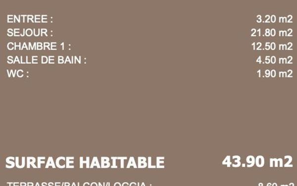 Appartement à vendre    2 pièces • 43,90 m2 Neuville-sur-Saône