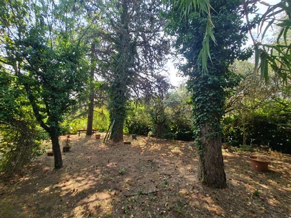 Maison de Maître 300 m² -7 Chambres - Jardin 1500 m² - Centre-ville à pied