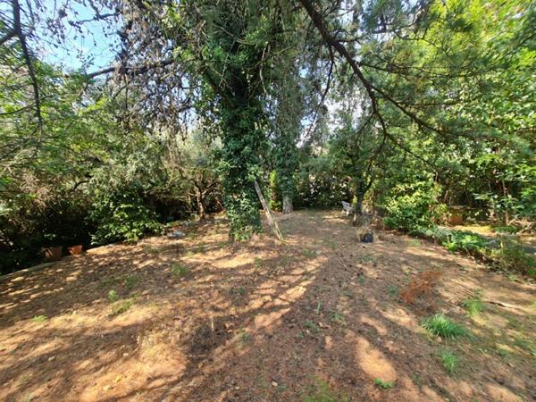 Maison de Maître 300 m² -7 Chambres - Jardin 1500 m² - Centre-ville à pied