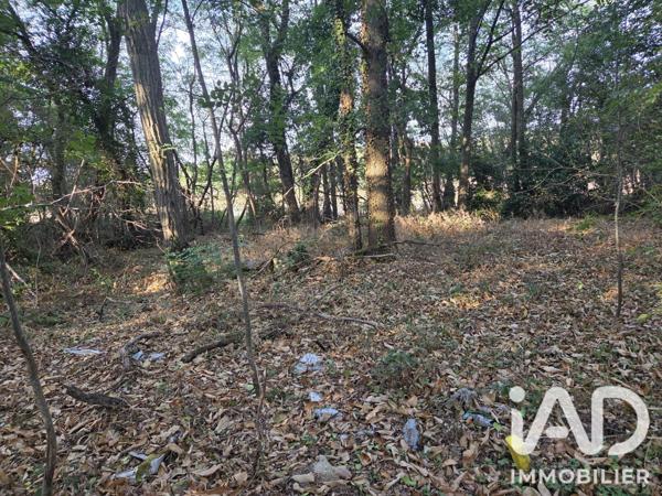 Terrain à vendre 1 041 m² Sainte-Geneviève-des-Bois