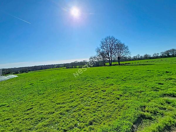 Terrain A VENDRE à Mouzeil 1250 m2, possibilité acquérir 7500m² de terrain agricole complémentaire