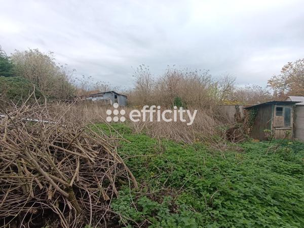 Maison 4 pièces - 58 m² Exclusivité efficity