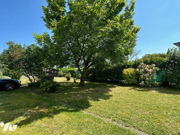 NOUVEAUTE / EXCLUSIVITE   VITRE  CENTRE - Rue des Castors