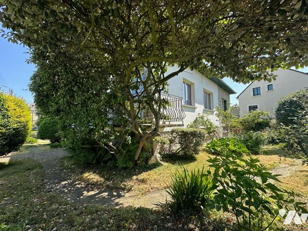 NOUVEAUTE / EXCLUSIVITE   VITRE  CENTRE - Rue des Castors