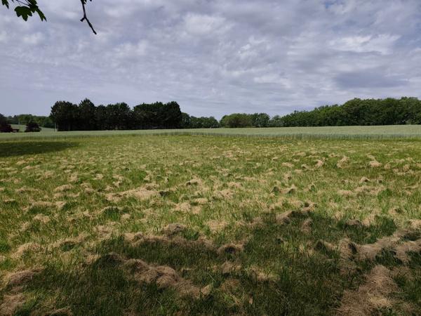 Grange à vendre 1 pièces VARAIGNES (24)