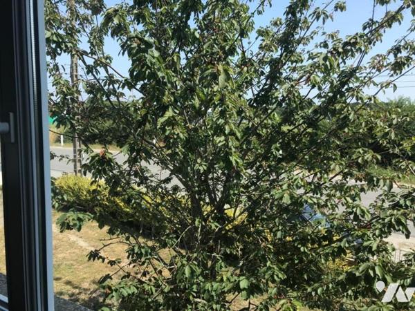 MAISON + APPARTEMENT, LOCMIQUELIC