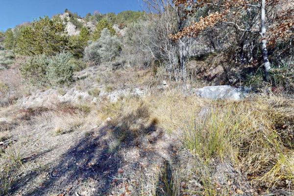 Terrain à vendre de 34 589 m²