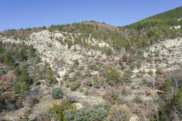Terrain à vendre de 34 589 m²