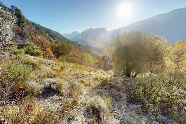 Terrain à vendre de 34 589 m²
