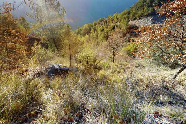 Terrain à vendre de 34 589 m²
