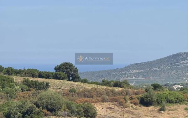 Vente Appartement 1 pièces 16 m2 à Oletta