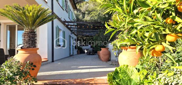 Maison traditionnelle de 241,69 m²