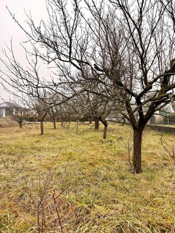 Terrain à vendre de 1 162,00 m² PREVESSIN MOENS (01)